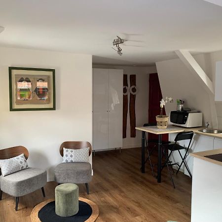 Coquet Studio Colmar Centre מראה חיצוני תמונה