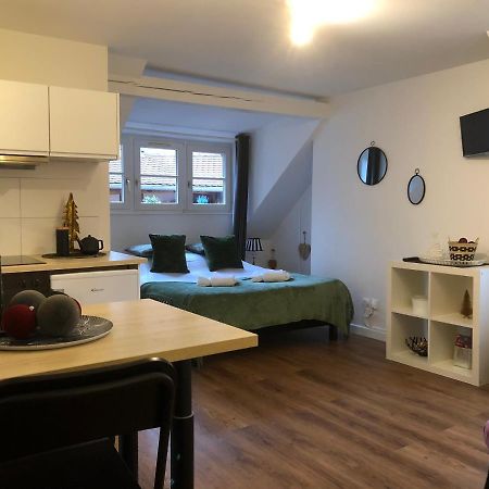 Coquet Studio Colmar Centre מראה חיצוני תמונה