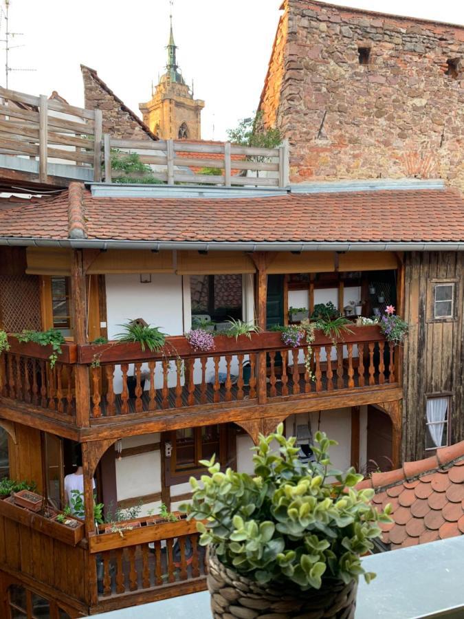Coquet Studio Colmar Centre מראה חיצוני תמונה